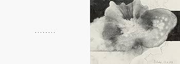 アート・デザイン・音楽 Gerhard Richter Zeichnungen 1964-1999 Gerhard Richter: Drawings 1964-1999, Catalogue Raisonne
